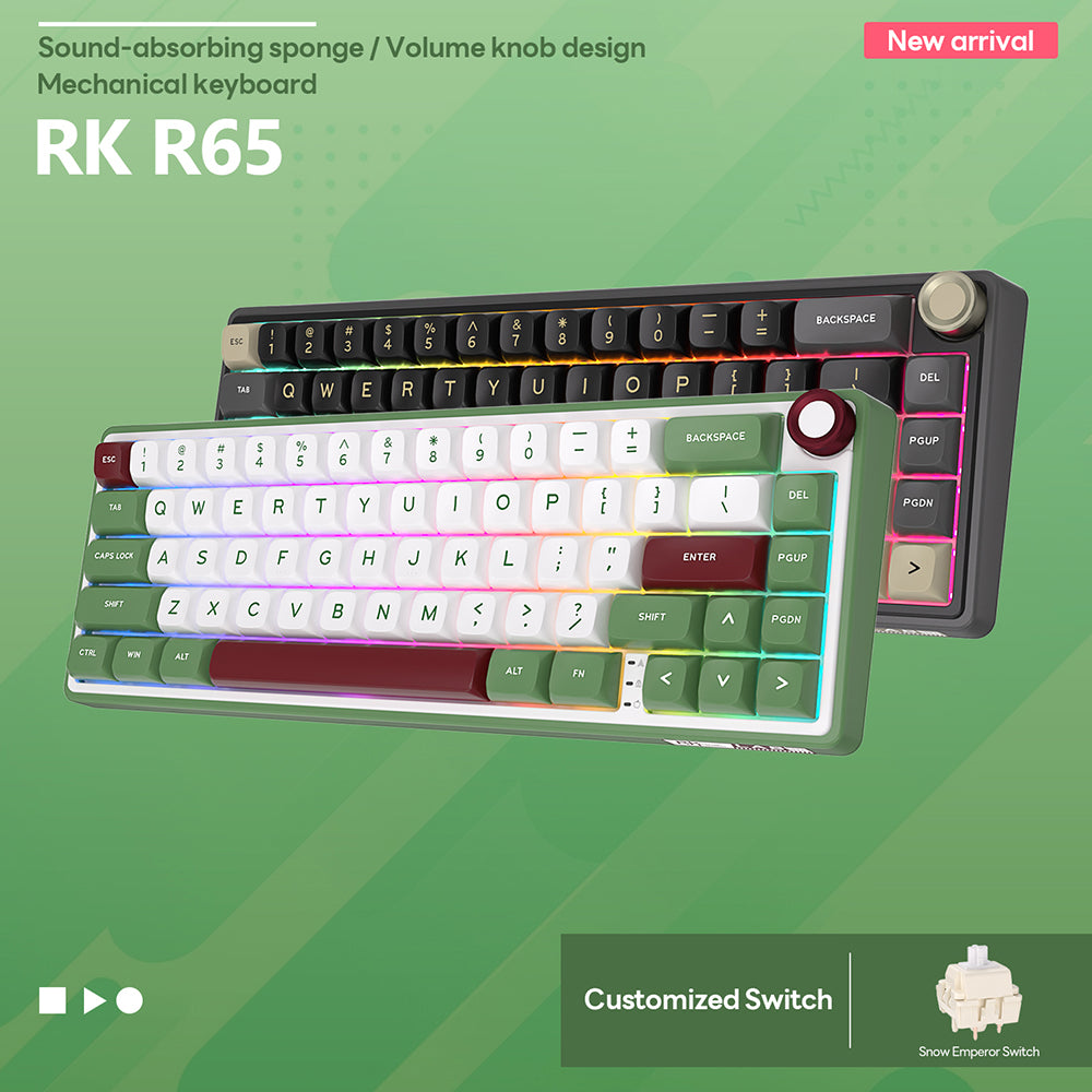 Royal Kludge RKR65 - Mechanisch RGB Gaming Toetsenbord - Inclusief Stofkap